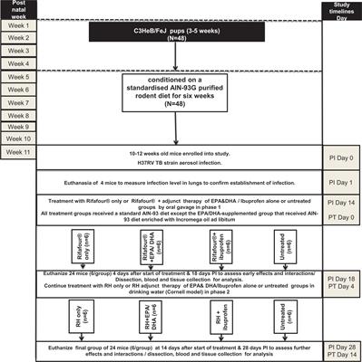 Longer-Term Omega-3 LCPUFA More Effective Adjunct Therapy for Tuberculosis Than <mark class="highlighted">Ibuprofen</mark> in a C3HeB/FeJ Tuberculosis Mouse Model